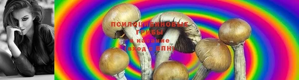 бошки Володарск
