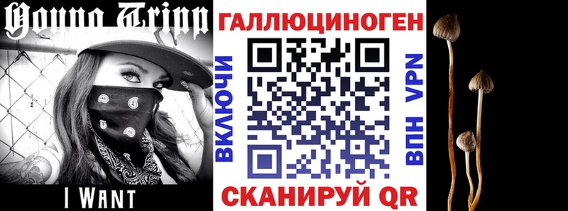 Псилоцибиновые грибы Psilocybine cubensis  закладки  Омутнинск 