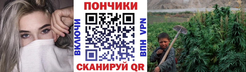где купить наркоту  MEGA вход  МАРИХУАНА план  Омутнинск 